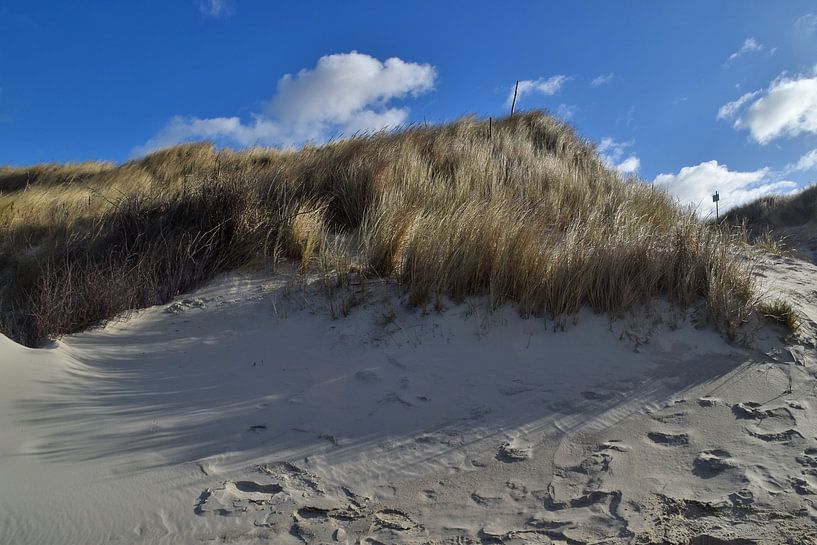 Dunes de Langeoog dans la mer du Nord Frise orientale par Karl-Heinz Petersitzke