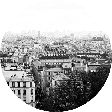 De prachtige stad, Parijs van Melanie Schat