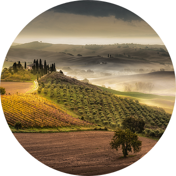 Toscane met landhuis/boerderij, wijnveld en prachtig heuvellandschap van Voss Fine Art Fotografie