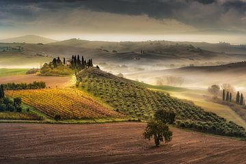 Toscane avec maison de campagne / ferme, domaine viticole et beau paysage de collines sur Voss Fine Art Fotografie