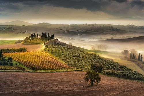 Toscane met landhuis/boerderij, wijnveld en prachtig heuvellandschap