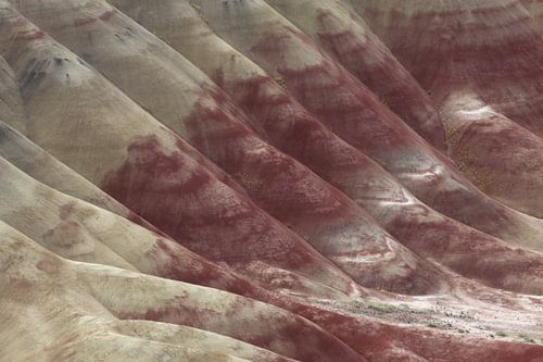 Beschilderde heuvels in het John Day Fossil Beds National Monument bij Mitchell City, Wheeler County