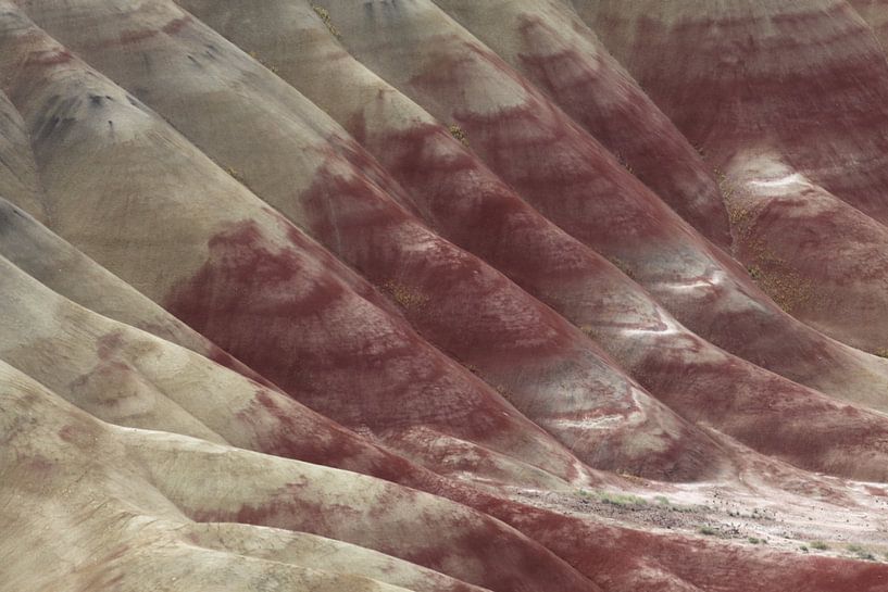 Painted Hills in the John Day Fossil Beds National Monument at Mitchell City, Wheeler County, Northe by Frank Fichtmüller