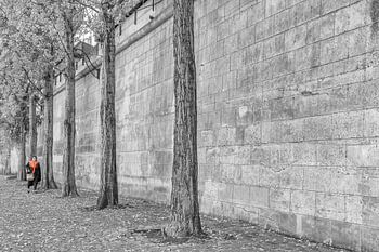 Parijs , aan de Seine