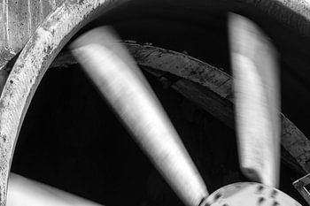 Fan, Landschaftspark, Duisburg, Allemagne