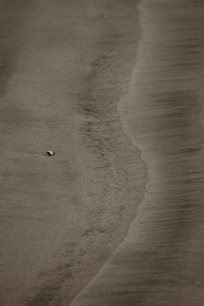 Beach by Inge Pieck