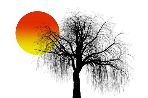 kale boom met zon van Jörg B. Schubert