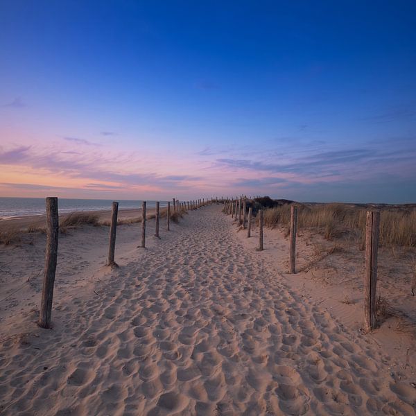 Sandweg entlang der Dünen von Remy de Wal