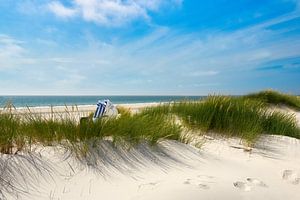 Zauberhafte Dünen mit leuchtendem Strandhafer