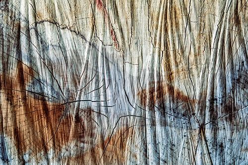 Boomsnoei en abstracte structuur