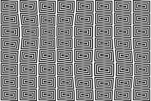 Augenweide 41 von Wouter Rietberg