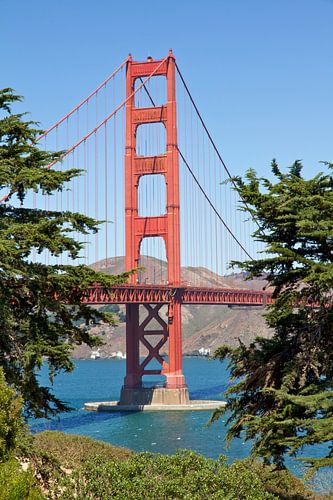 SAN FRANCISCO Golden Gate Bridge by Melanie Viola