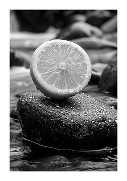 Dewy lemon on dark stone by Felix Brönnimann