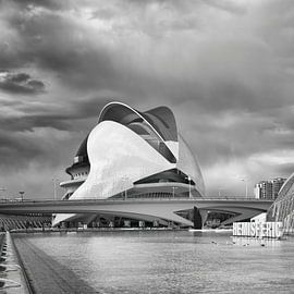 Palau de les Arts - Valencia von Stadtlandschaften – Rick Van der Poorten Fotografie