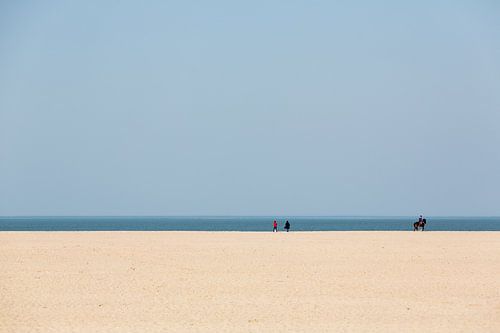 Clean lines on the coast