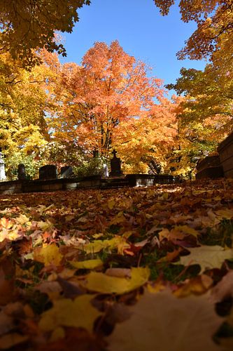 De begraafplaats in het najaar