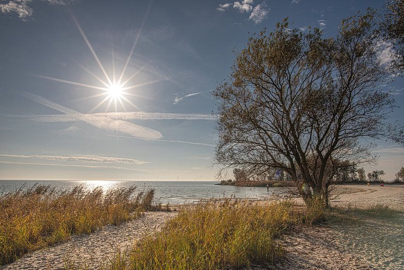 Nachmittag im Altweibersommer am Strand bei Makkum in Friesland von Harrie Muis