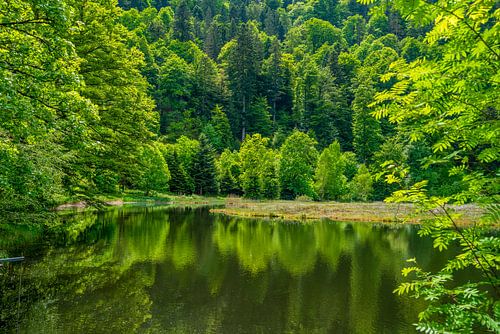 Nonnenmattweiher in Deutschland