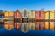 View of colourful houses by the river Nidelva in the city of Trondheim by Rico Ködder thumbnail