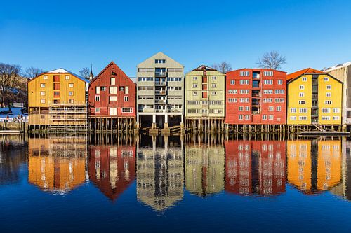 Uitzicht op kleurrijke huizen bij de rivier Nidelva in de stad Trondheim van Rico Ködder