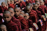 Monks waiting in line at a monastery in Myanmar by Gert-Jan Siesling thumbnail