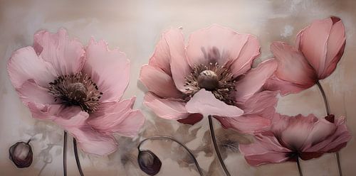 Pink poppies