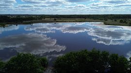 Die Flaes #3 von Marco van Loon