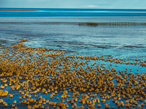The Wadden Sea