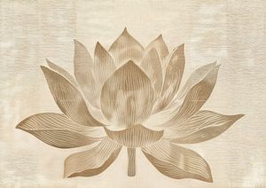 Lotus-Malerei