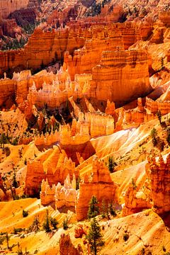 Landschap betoverende Hoodoos Amphitheatre in Bryce Canyon National Park Utah USA van Dieter Walther