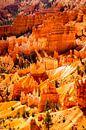 Landscape enchanting hoodoos amphitheater in Bryce Canyon National Park Utah USA by Dieter Walther thumbnail