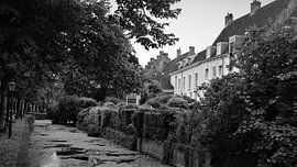 muurhuizen von Matthijs Heeneman