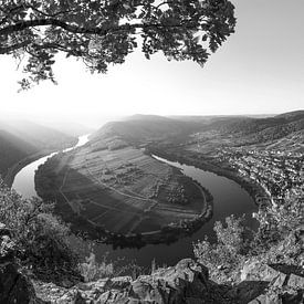 L'automne sur la Moselle en noir et blanc. sur Manfred Voss, Schwarz-weiss Fotografie