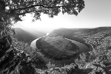 L'automne sur la Moselle en noir et blanc. sur Manfred Voss, Schwarz-weiss Fotografie