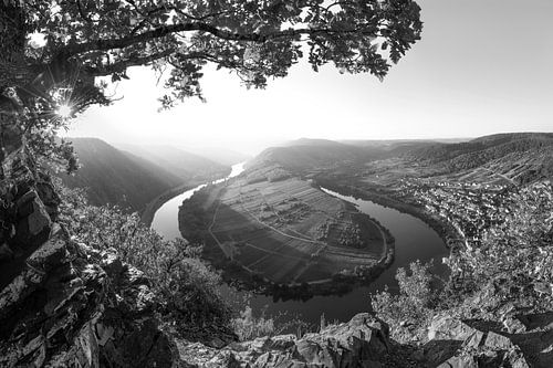 Herbst an der Mosel in schwarzweiss. von Manfred Voss, Schwarz-weiss Fotografie