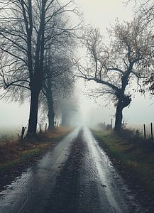 Herbstspaziergang im Nebel