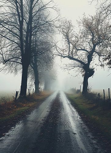 Autumn walk in the fog