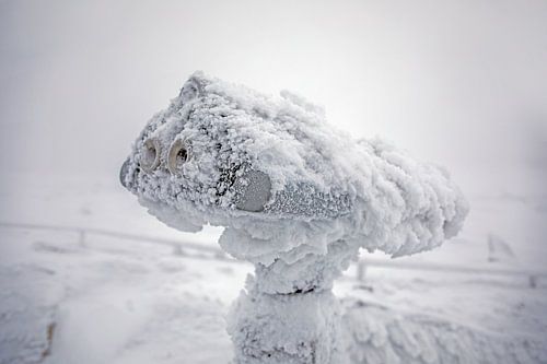On the Brocken plateau