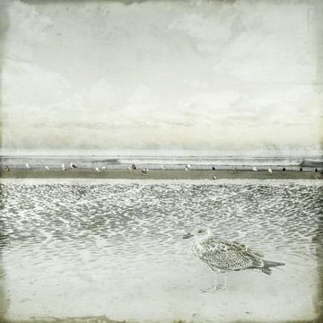 Longing for the coast. Grey basic. by Alie Ekkelenkamp