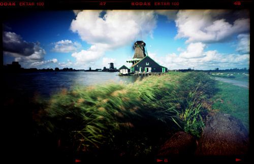 Pinhole photo Dutch Windmills
