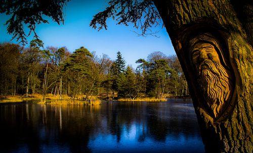 Der alte weise Mann, in einen Baum geschnitzt 