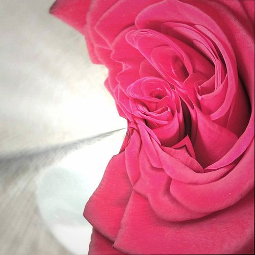 Zijdezacht ontvouwen