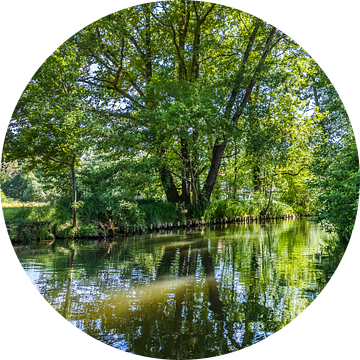 SPREEWALD Boottocht door de rivieren van Melanie Viola