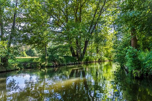 SPREEWALD Boottocht door de rivieren