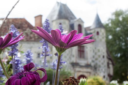 Kasteel 