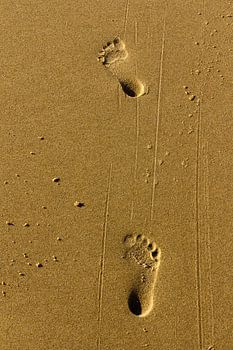 Voetstappen in gouden zand