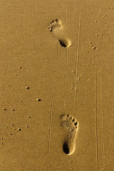 Voetstappen in gouden zand van Ed de Cock