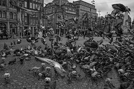 Alle Tauben auf dem Dam-Platz von Peter Bartelings