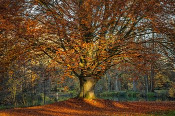L'heure d'automne