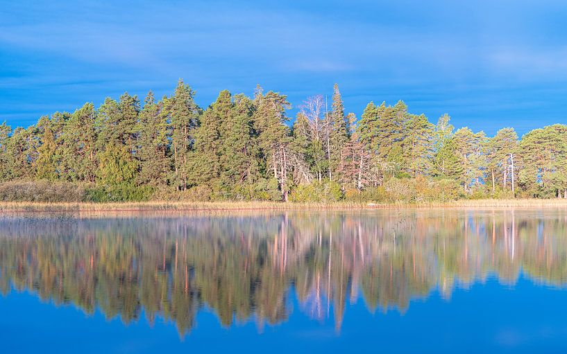 Autumn reflection van Jeroen Kleiberg